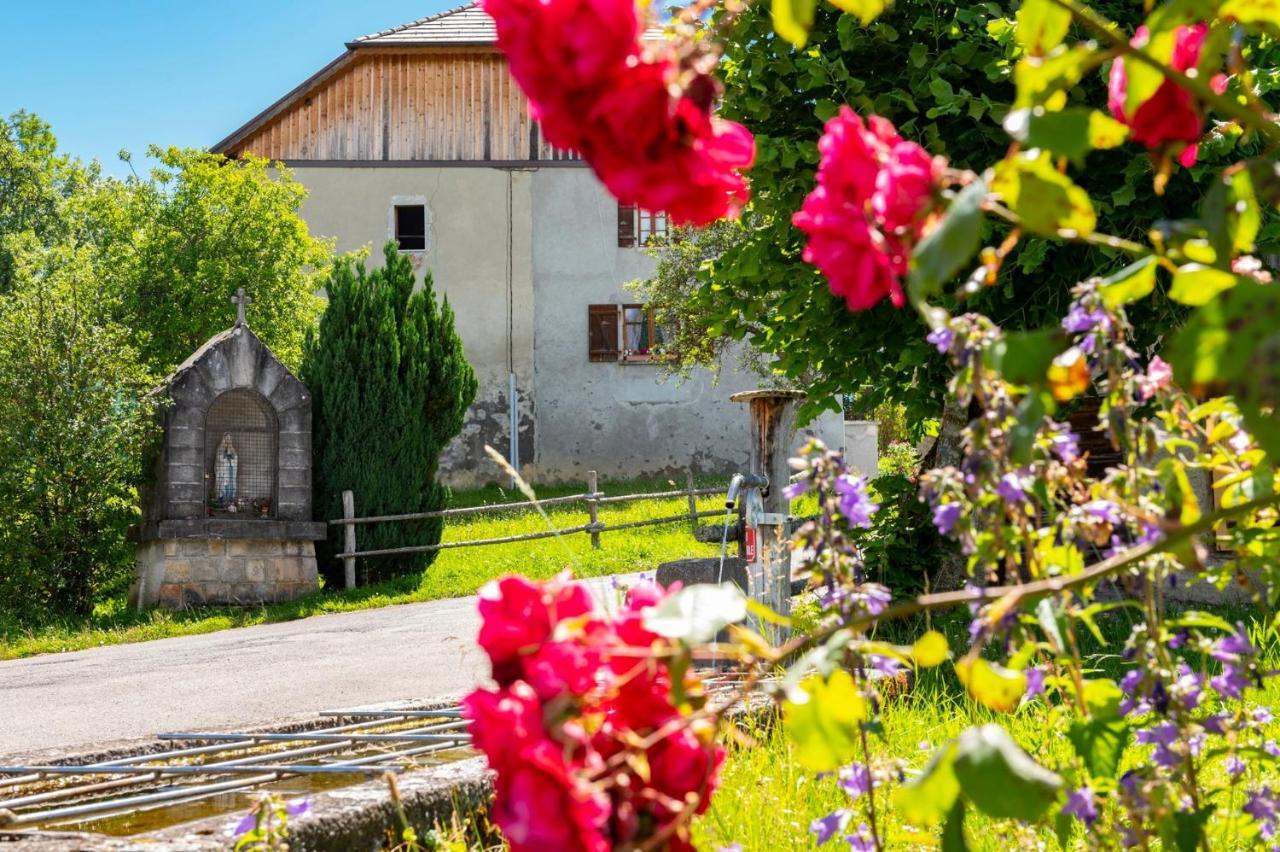 Votre studio balnéo bien-être à la montagne Thollon-les-Memises Exterior foto