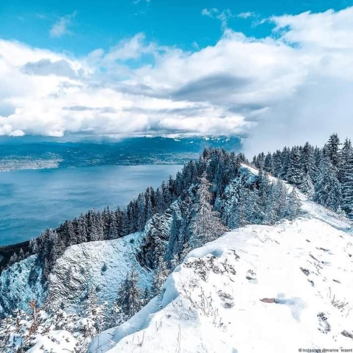Votre studio balnéo bien-être à la montagne Thollon-les-Memises Exterior foto